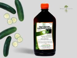 Tincture for Glycemic Regulation: Bitter Cucumber 500 ml